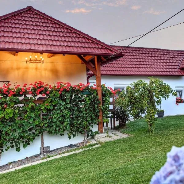 Holiday Home Rojko，位于Štrigova的酒店