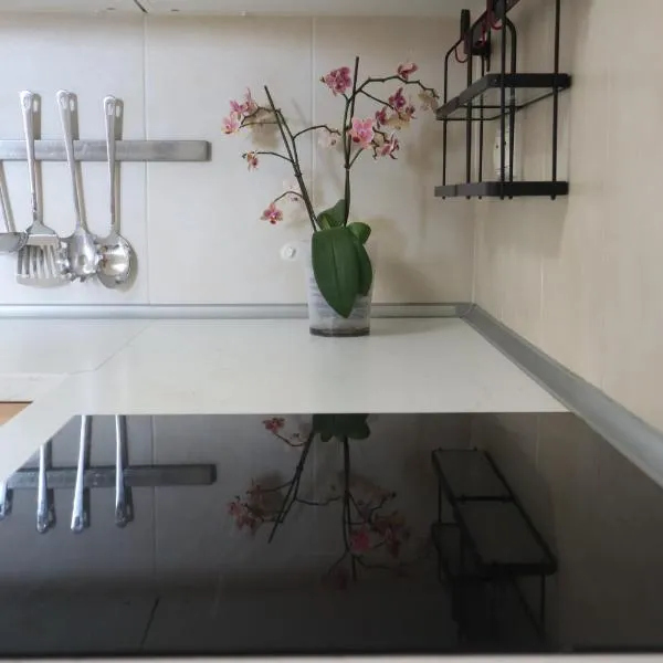 City Center 2 Bedroom A/C Apartment，位于Staré Mesto的酒店