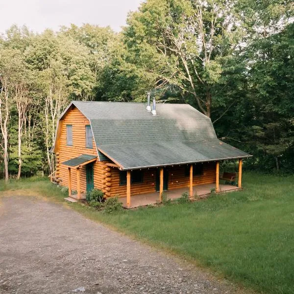 Afton Cabin，位于Afton的酒店