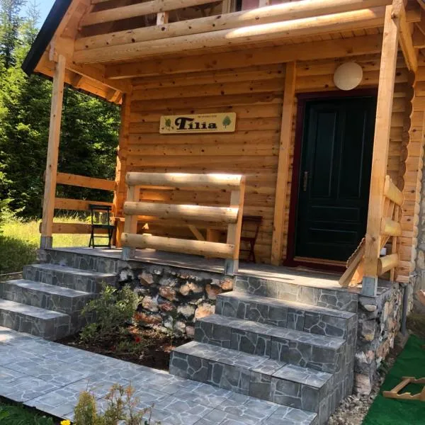 Tilia Cottage Banjska stena，位于米特洛瓦克的酒店