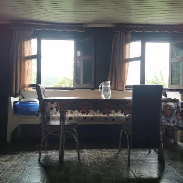 Guest House Eceri，位于梅斯蒂亚的酒店