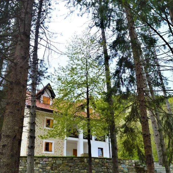 Mountain house Korab Trnica，位于Nikiforovo的酒店