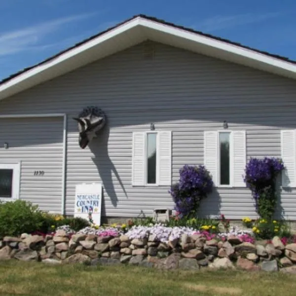 NEWCASTLE COUNTRY INN，位于德兰赫勒的酒店