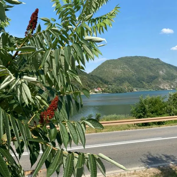 Dijanin Konak，位于兹沃尔尼克的酒店