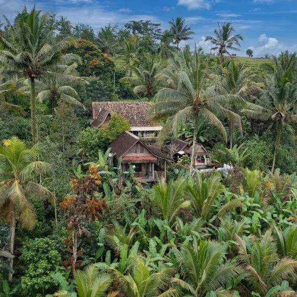 Nienté Bali，位于Penebel的酒店