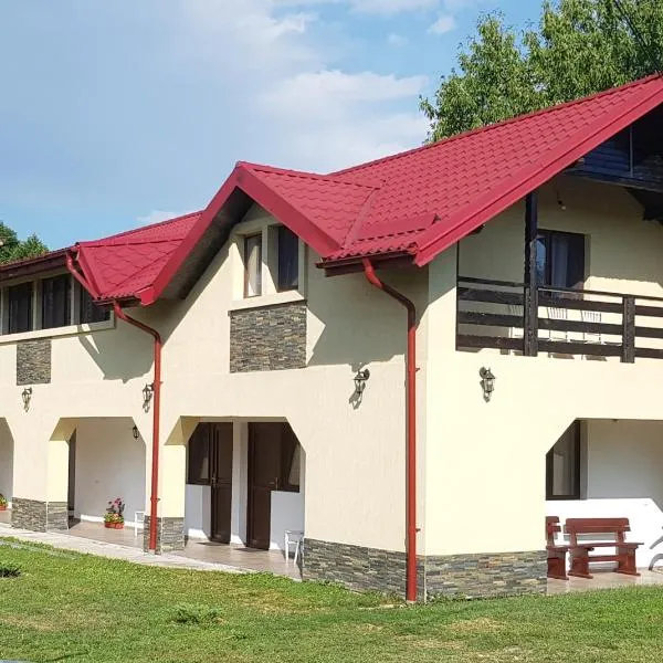 Pensiunea Magnolia din Tismana，位于Comăneşti的酒店