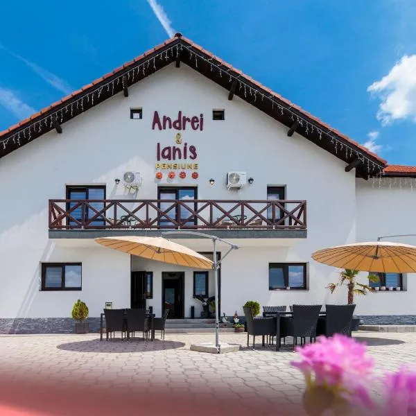 Agropensiunea Andrei & Ianis，位于Dăeşti的酒店