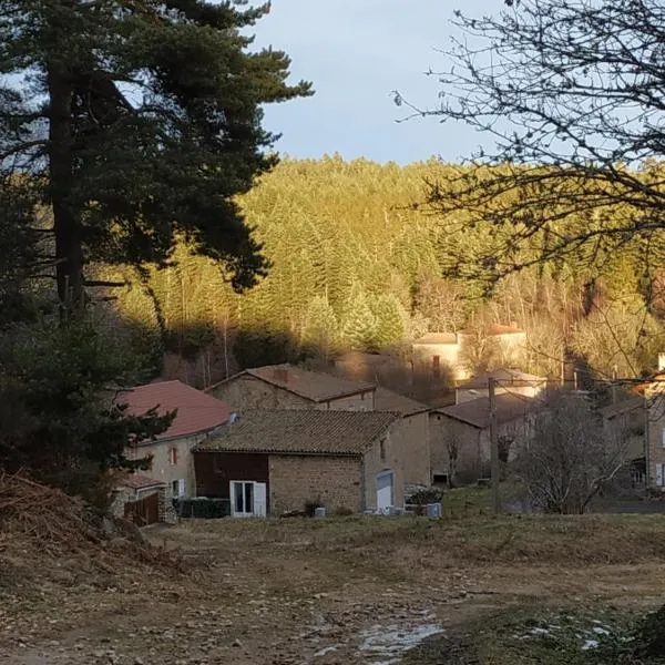 Au Chat Perché，位于Saint-Bonnet-le-Chastel的酒店