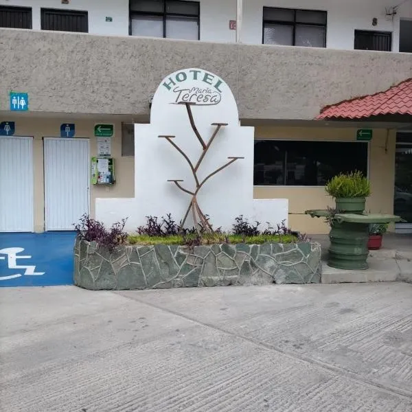 HOTEL MARIA TERESA，位于Ciudad Fernández的酒店