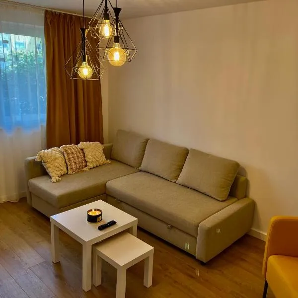 Alexander Cozy Apartment FREE PRIVATE PARKING，位于梅迪亚什的酒店