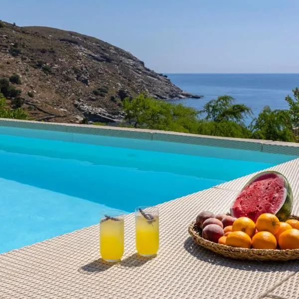 Luxury villa by the beach by Andros Villas Collection，位于安德罗斯的酒店