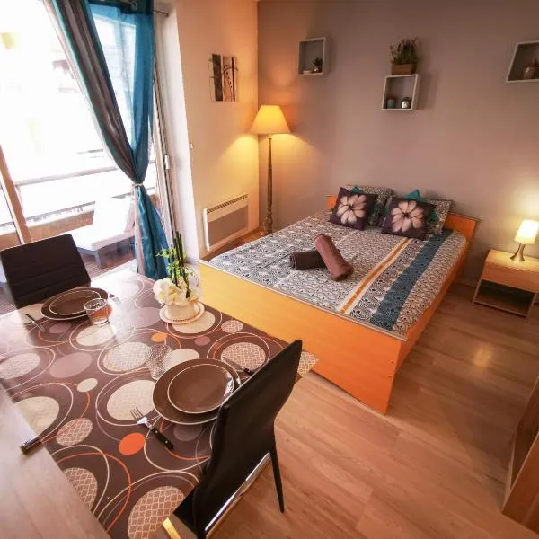 Léman Holidays - Appartement Hyper centre，位于安菲翁·莱斯·班恩斯的酒店