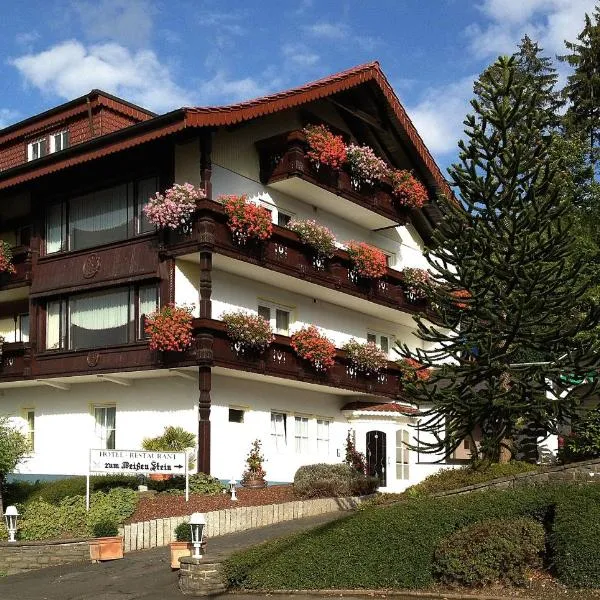 佐姆维根斯汀酒店，位于Grünebach的酒店
