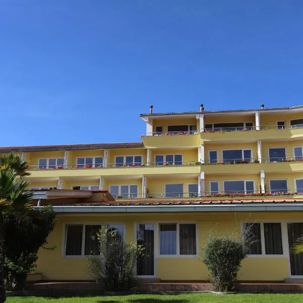 Hotel Andino Club - Hotel Asociado Casa Andina，位于Monterrey的酒店