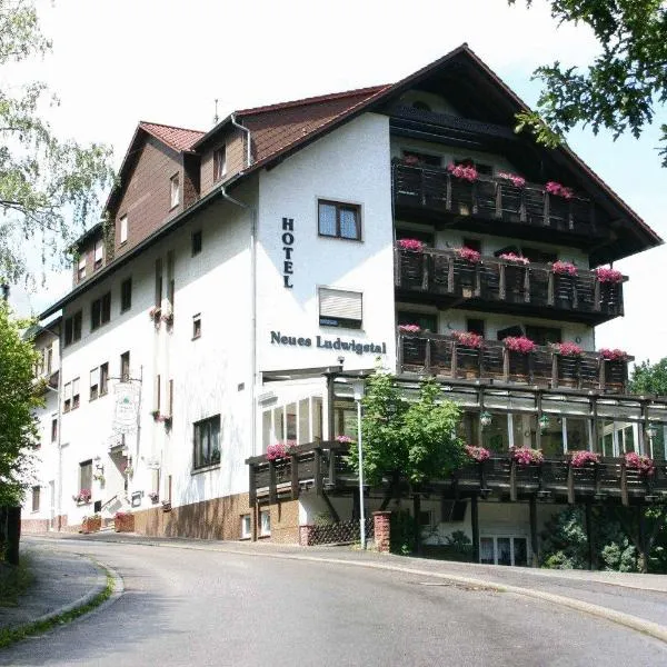 鲁德威戈斯塔尔酒店，位于Löhrbach的酒店