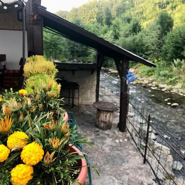 Podul De Brazi - Fir Bridge，位于克尔茨什瓦拉乡的酒店