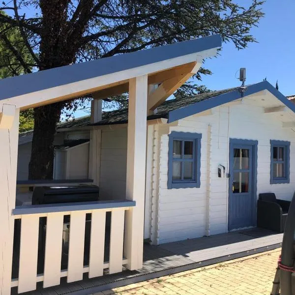 Chalet Mont Ventoux et Chalet VIP，位于艾居厄河畔卡马勒的酒店
