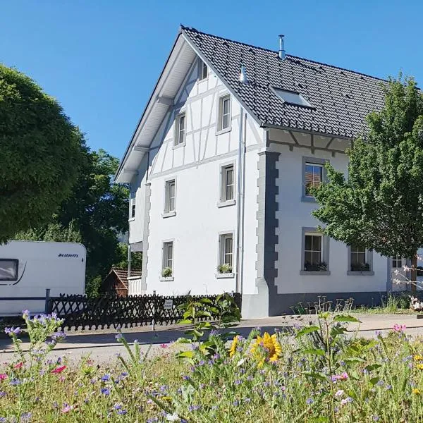 Apartment Kerbholz - zwischen Südschwarzwald und Schweiz，位于Klettgau的酒店