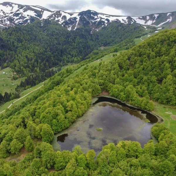 Raković Katun - Biogradska gora accomodation，位于贝拉内的酒店