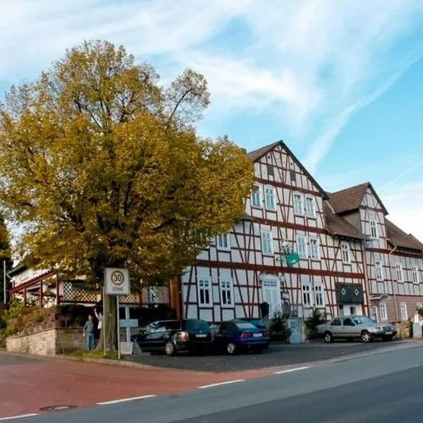 艾勒尼尔邮政酒店，位于Habichtswald的酒店