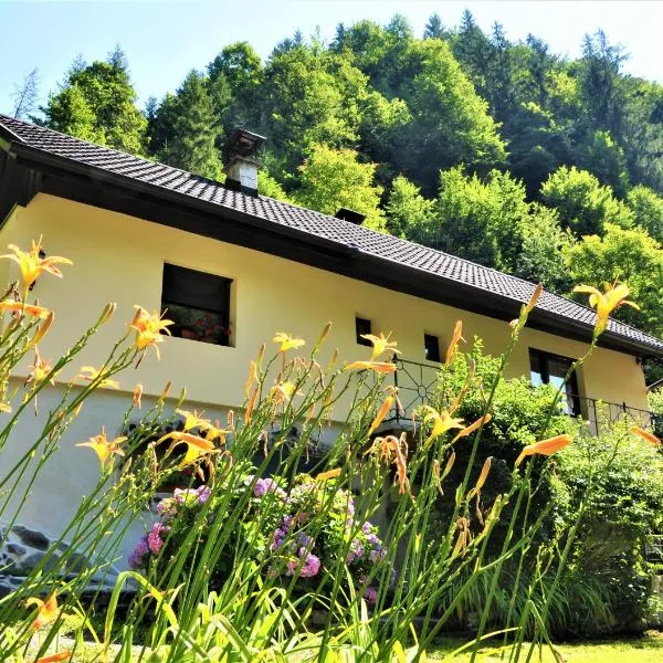 LINCA Hiška pod slapom，位于Lovrenc na Pohorju的酒店