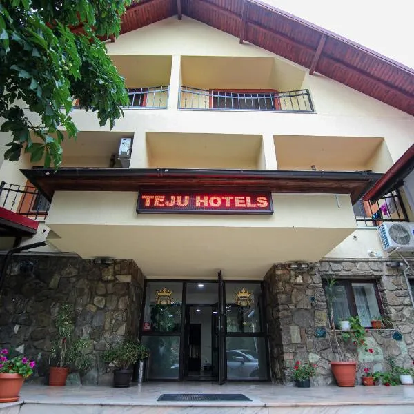Teju Hotels，位于Măneciu的酒店