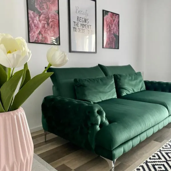 Velvet Studio，位于特尔古穆列什的酒店