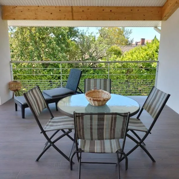 COSY LODGE GITE APPARTEMENT MEUBLE CiTY BREAK，位于图卢兹的酒店