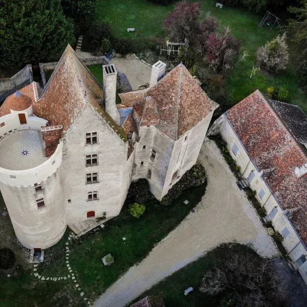 Grand gîte au château de Betz-le-Château，位于Paulmy的酒店