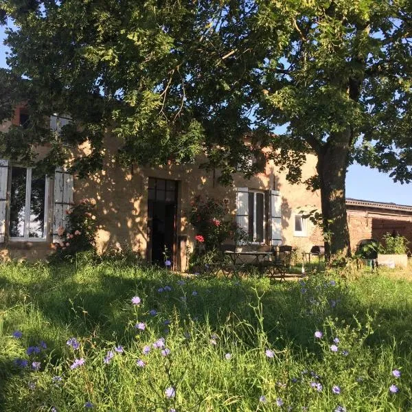 Chambres d'hôtes Les Pieds dans l'herbe，位于Saint-Julien-Gaulène的酒店