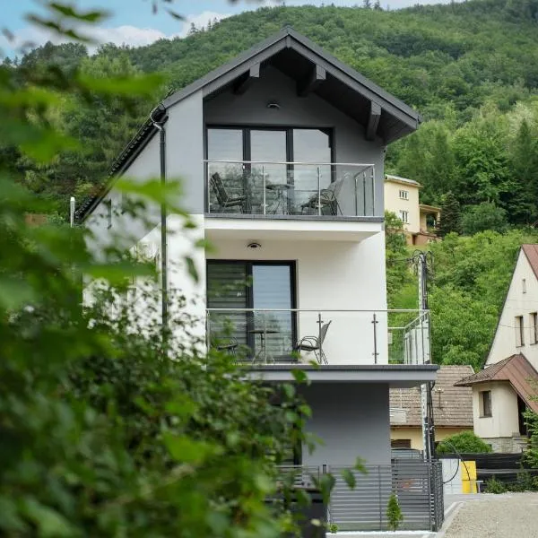 Apartamenty Nadrzeczna nad Wisłą Dream Apart，位于乌斯特龙的酒店