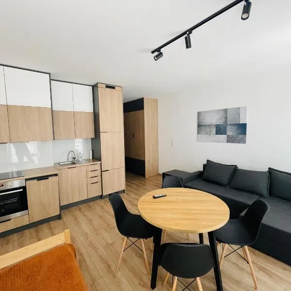 Apartament Osiedle Okrzei，位于凯尔采的酒店