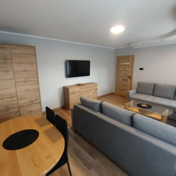 Apartament Magnat，位于瓦乌奇的酒店