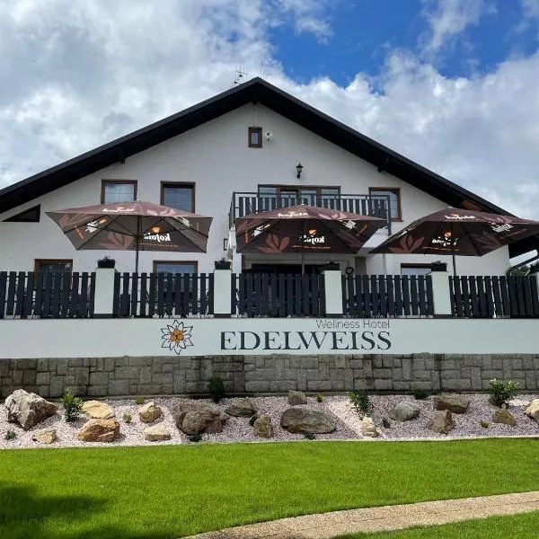 Wellness Hotel Edelweiss，位于Osečná的酒店