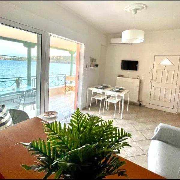 Seaside Apartment in Glyfada-Trizonia，位于Glyfada Fokidas的酒店