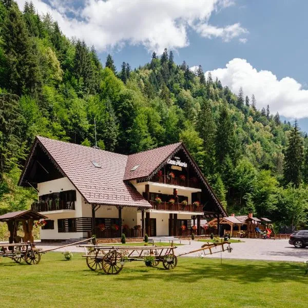 Pensiunea Agroturistică Casa Maria，位于Rodna的酒店