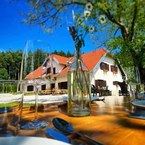 OPA Resort，位于Šoštanj的酒店