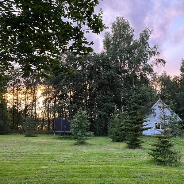 Сottage under the trees，位于Rajaküla的酒店