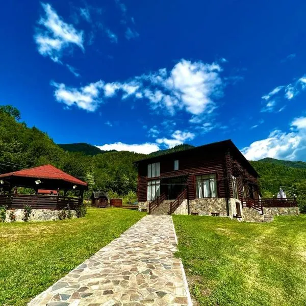 Pensiunea Roxana，位于Valea Vişeului的酒店