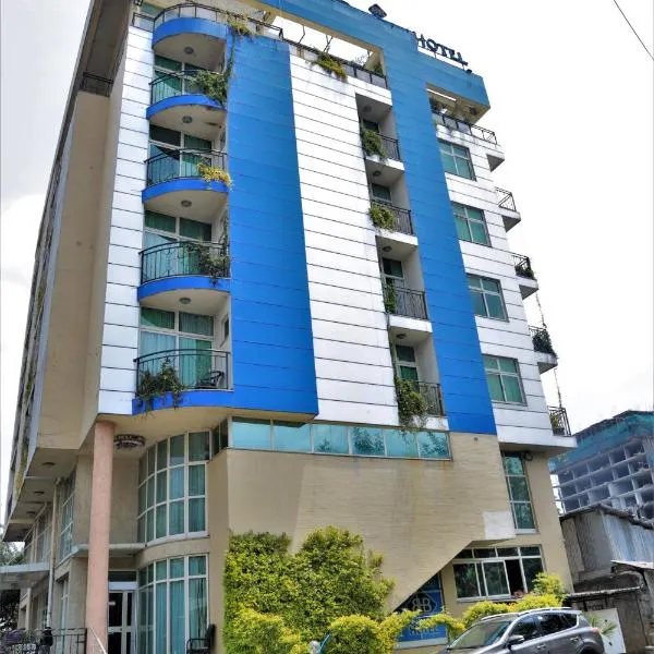 蓝鸟国际酒店，位于Medero的酒店
