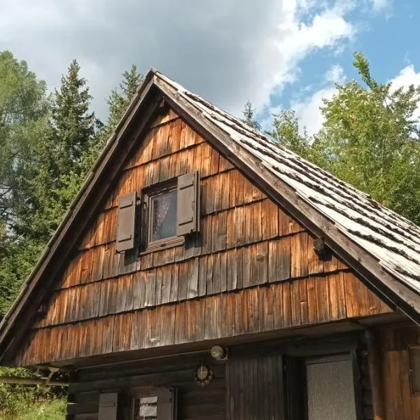 Planinska hišica pod macesni - Bohinj，位于托尔明的酒店