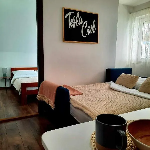 Tesla Coil Apartments，位于Brušane的酒店