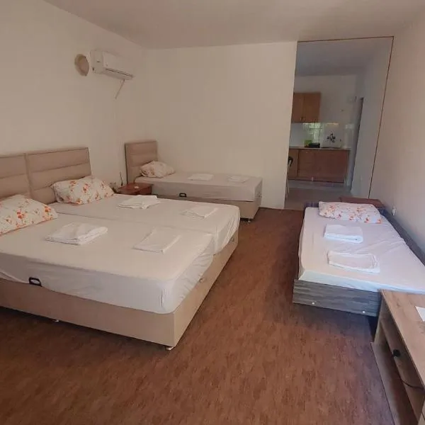 Guesthouse Mixe，位于布德瓦的酒店