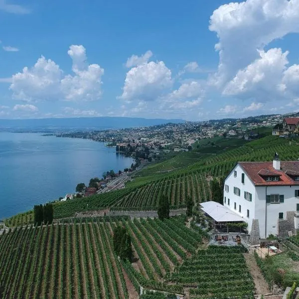 Domaine de la Crausaz，位于格兰瓦克斯的酒店