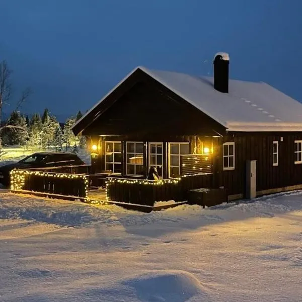 Sanderstølen Hytter，位于Aurdal的酒店