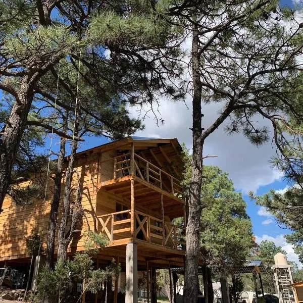Cabañas el Pino 3，位于克雷尔的酒店