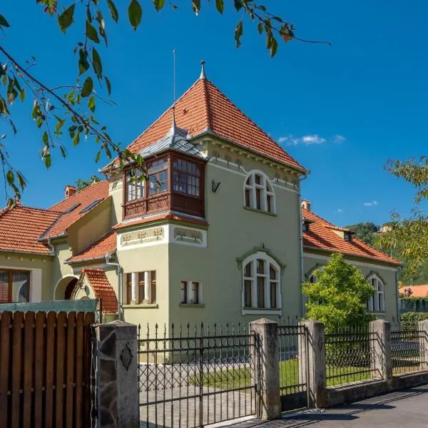 Clasic Haus Sighisoara，位于Brădeni的酒店