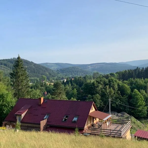 Czarny Koń „Black Horse”，位于Karpniki的酒店