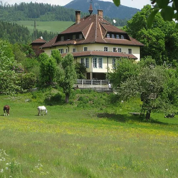 Ferienhof Haberzettl，位于Metnitz的酒店