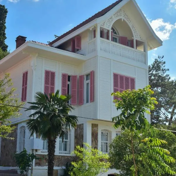 Noya Köşk Otel，位于王子岛群的酒店